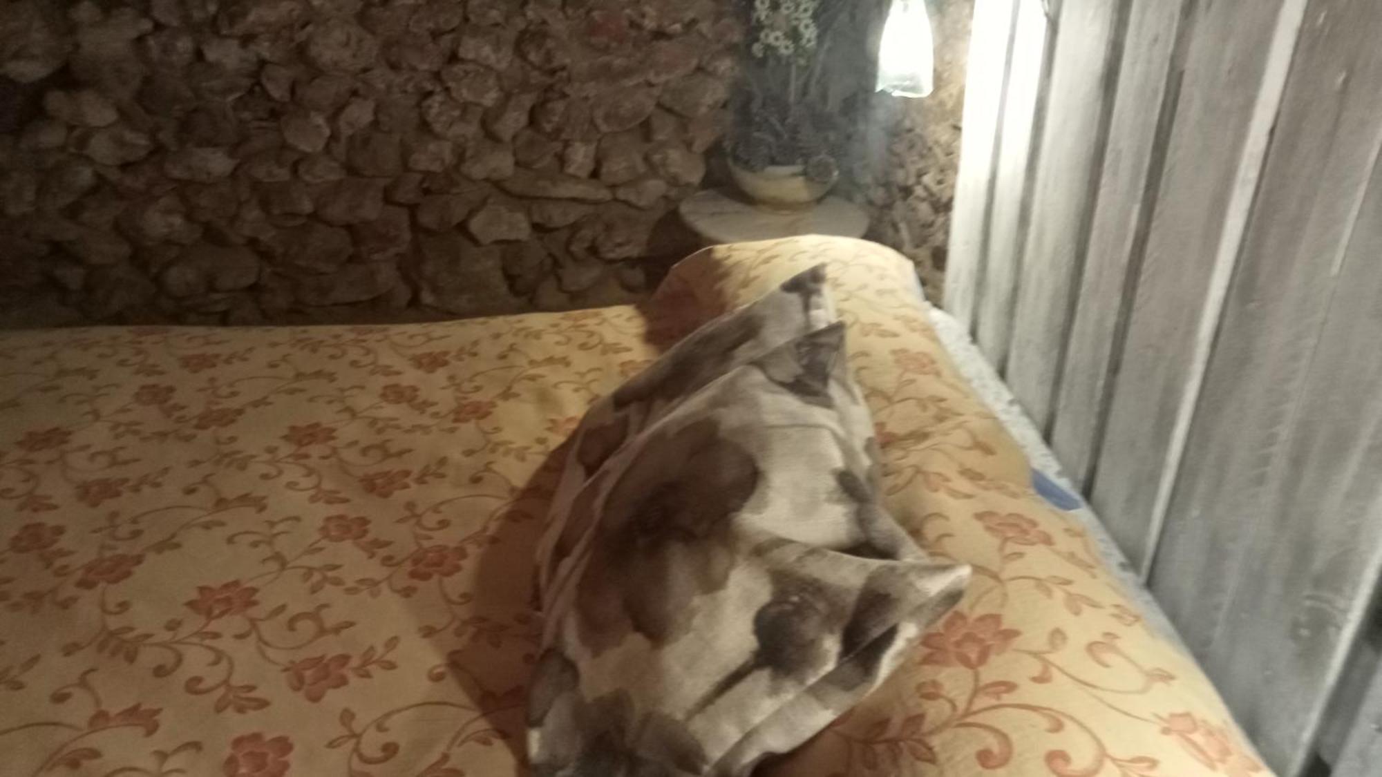 Habitacion En Ocana 外观 照片